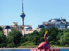 -莲花池公园