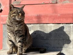 -万松老人塔