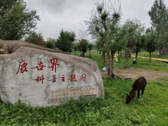 -北京鹿世界主题园