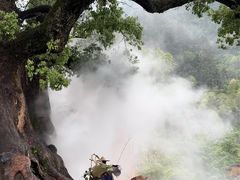 -杨家堂村