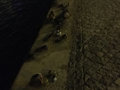 -多瑙河畔鞋履雕塑