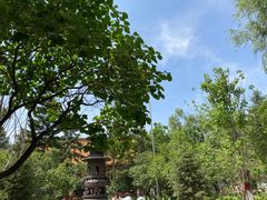 -哈尔滨极乐寺