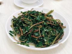 -东山茶寮(新安店)