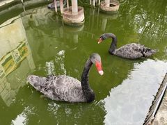 -昆明动物园