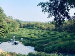 -大屏嶂森林公园