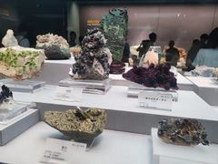 -湖南省地质博物馆