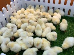 -沃尔玛超市(北大街店)