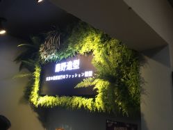 点击看大图 -藤野造型