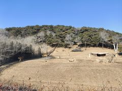 -沈阳森林动物园