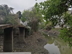 -梁鸿国家湿地公园