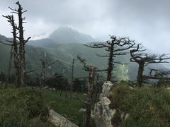 -秦岭风景区