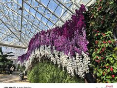 -石家庄市植物园