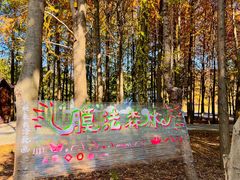 -上海海湾国家森林公园