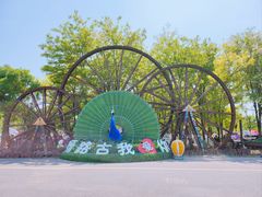-呀路古热带植物园