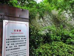 百茶屏-东部华侨城