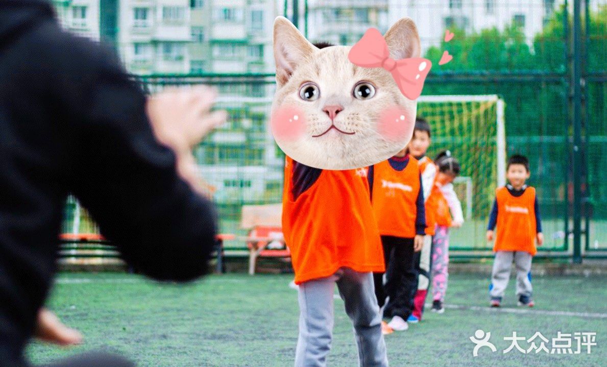 不一样的小众运动