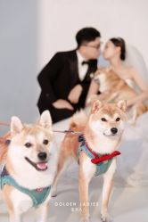 -金夫人婚纱摄影(衡阳店)