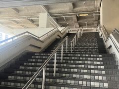 -香港大学