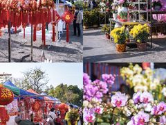 -长洲岛都市农业公园