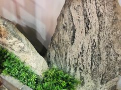 -白兔子密室(长寿路店)