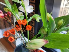 -旺顺阁海鲜广场(亚运村店)