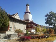 -张掖大佛寺景区