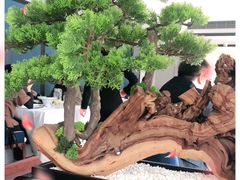 -顺峰(农展馆店)