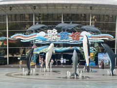 -海合安成都极地海洋公园