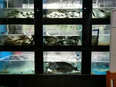 大堂-全乐鱼馆·淳牌有机鱼直营店