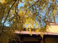 -镇江市南山风景名胜区竹林景区