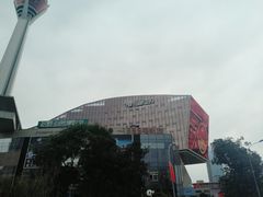 -339旋转餐厅(天府熊猫塔店)