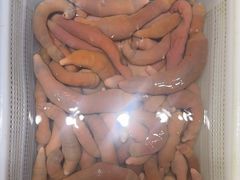 -小船渔村•大连菜•大连焖鱼(明泽街店)