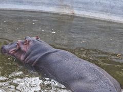 -济南野生动物世界