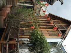 慢丽江庭院休闲餐厅(付家庄店)-慢丽江·云南野生菌土鸡锅(付家庄店)