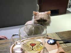 -小时光咖啡馆(开森度假森林店)