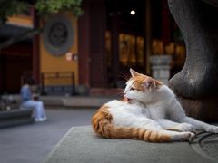-龙华寺
