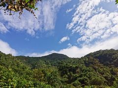 -梧桐山风景名胜区