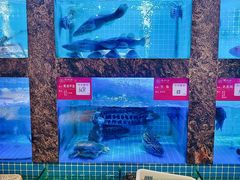 -潮州府·潮菜·砂锅粥(徐家汇店)