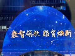 -翡翠江南(国贸商城店)