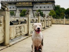 -三国赤壁古战场