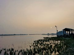 -苏州太湖湖滨国家湿地公园