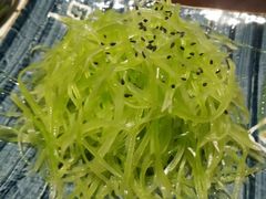 -三俞竹苑(红旗街万达店)