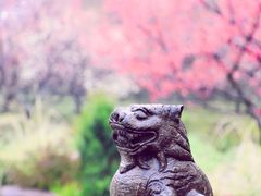 -梅花山(明孝陵内)