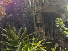 -正佳雨林生态植物园
