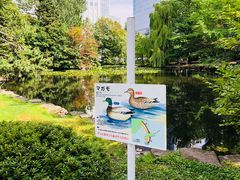 -北海道厅旧本厅舍(旧本庁舎)