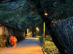 -普陀山慧济禅寺