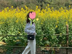 -贵阳市花溪国家城市湿地公园