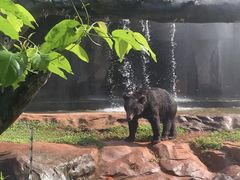 -海南热带野生动植物园