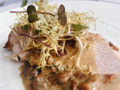 -蝶舍·MAISON PAPILLON