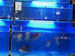 水产区-姜君·千岛湖鱼头馆(浦东大道店)